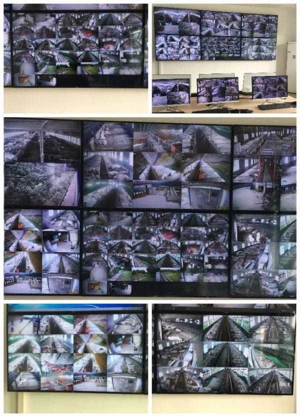 微信图片_20200912145403.jpg